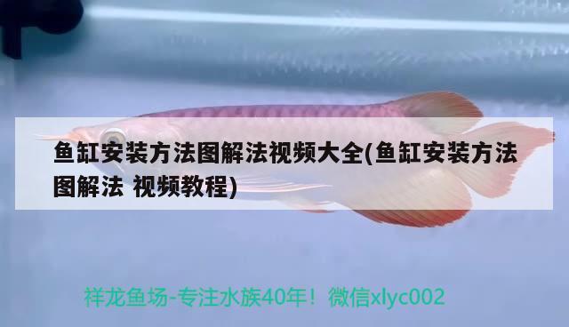 魚缸安裝方法圖解法視頻大全(魚缸安裝方法圖解法視頻教程) 帝王三間魚