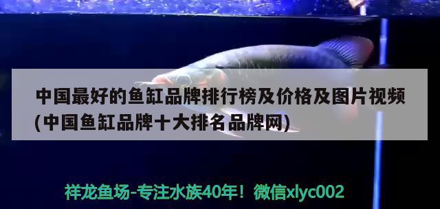 中國最好的魚缸品牌排行榜及價格及圖片視頻(中國魚缸品牌十大排名品牌網(wǎng)) 稀有金龍魚