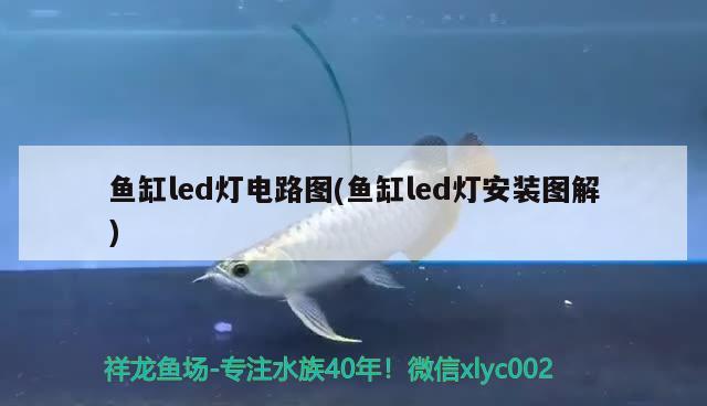 魚缸led燈電路圖(魚缸led燈安裝圖解)