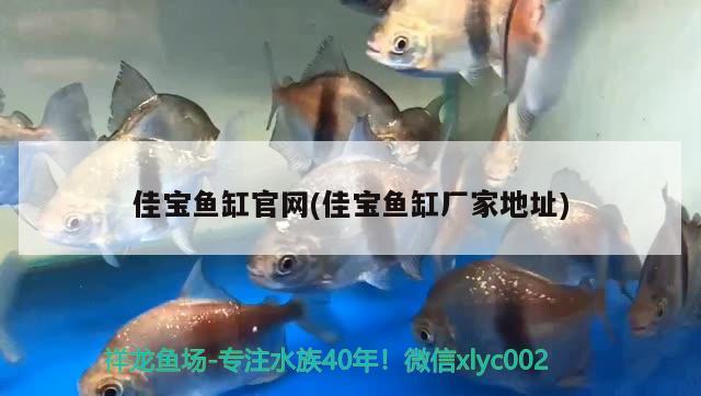 風(fēng)水魚缸擺放位置(家庭風(fēng)水魚缸擺放位置)