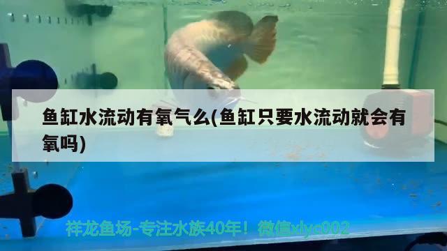 魚缸水流動有氧氣么(魚缸只要水流動就會有氧嗎) 印尼小紅龍