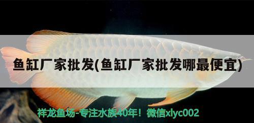 魚缸廠家批發(fā)(魚缸廠家批發(fā)哪最便宜)