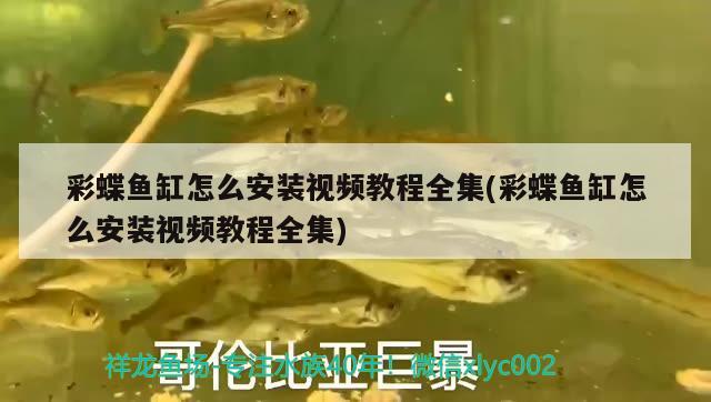 彩蝶魚缸怎么安裝視頻教程全集(彩蝶魚缸怎么安裝視頻教程全集) 泰龐海蓮魚