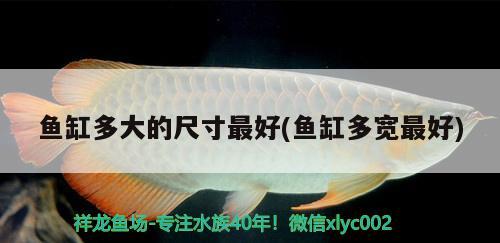 魚缸多大的尺寸最好(魚缸多寬最好)