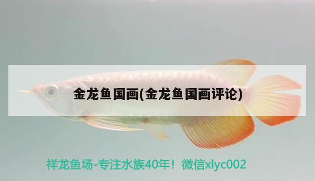 金龍魚國畫(金龍魚國畫評論)