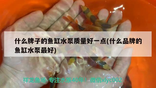 什么牌子的魚缸水泵質(zhì)量好一點(什么品牌的魚缸水泵最好)