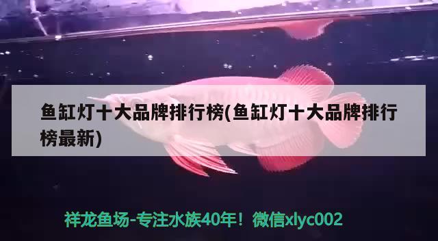 硝化細菌哪個牌子好，魚缸濾桶什么牌子好