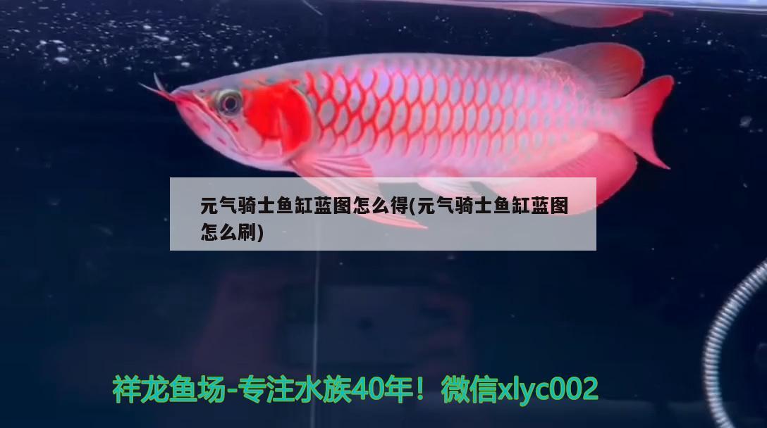 元氣騎士魚缸藍圖怎么得(元氣騎士魚缸藍圖怎么刷) 黃金貓魚百科