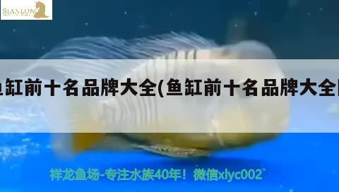 魚缸前十名品牌大全(魚缸前十名品牌大全圖) 金龍魚糧