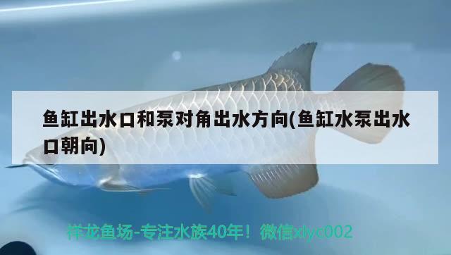 魚缸出水口和泵對角出水方向(魚缸水泵出水口朝向) 魚缸水泵