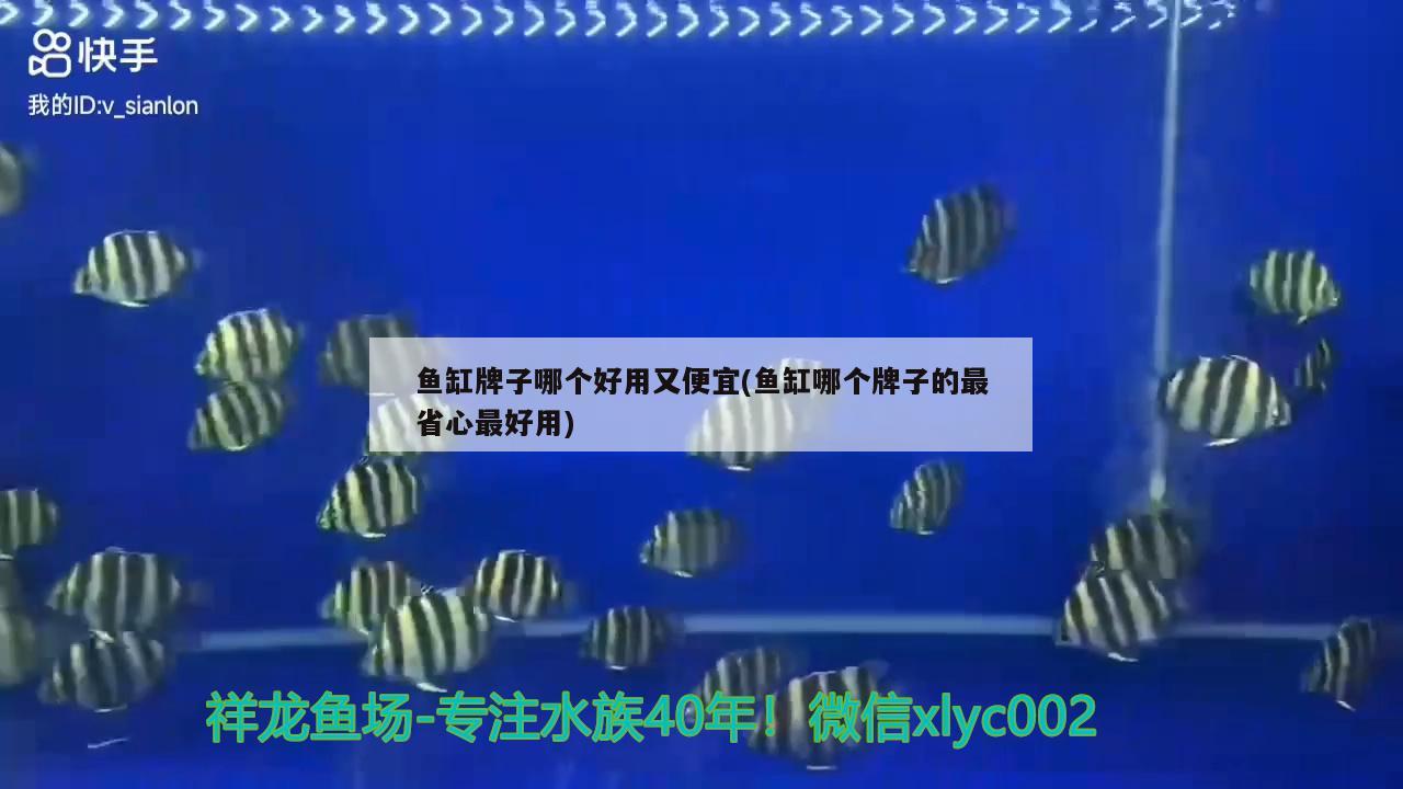 魚缸全套配件及名稱大全(魚缸的配件) 元寶鳳凰魚