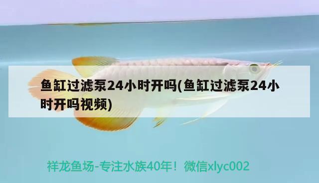 有名的魚缸品牌有哪些：有名的魚缸品牌有哪些牌子