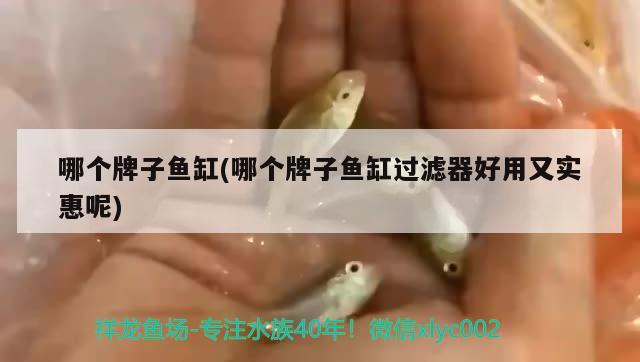 哪個(gè)牌子魚缸(哪個(gè)牌子魚缸過濾器好用又實(shí)惠呢)