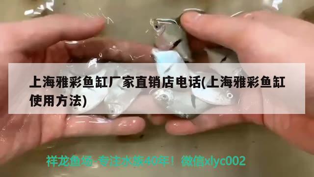 上海雅彩魚(yú)缸廠家直銷店電話(上海雅彩魚(yú)缸使用方法) 紅魔王銀版魚(yú)