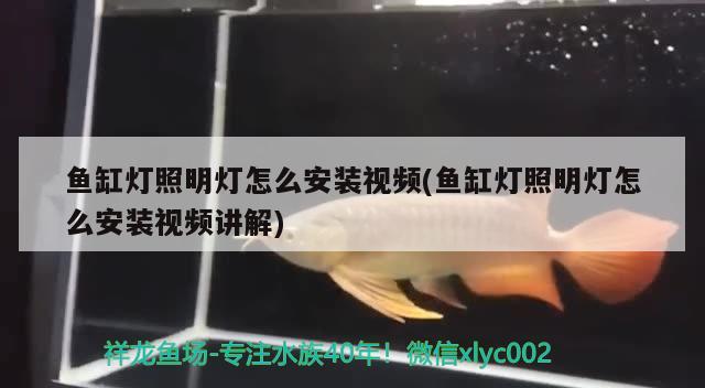 魚缸框架改色效果圖大全（魚缸框架改色效果圖大全圖片）