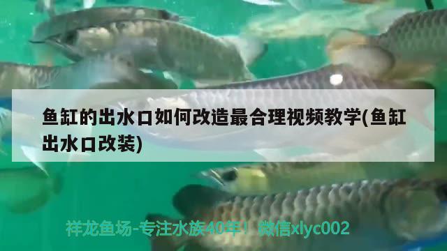 魚缸的出水口如何改造最合理視頻教學(魚缸出水口改裝)