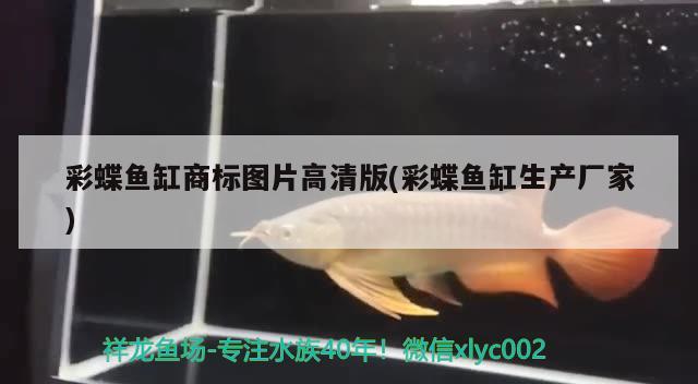 魚缸內(nèi)長(zhǎng)褐藻可以用什么魚消除掉它（魚缸內(nèi)褐藻不用清除） 其他品牌魚缸 第2張