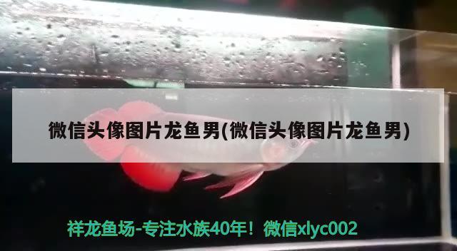 上手？我就差動(dòng)手了 魟魚百科 第3張