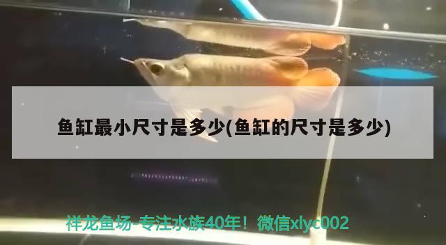 魚缸最小尺寸是多少(魚缸的尺寸是多少) 恐龍王魚 第1張