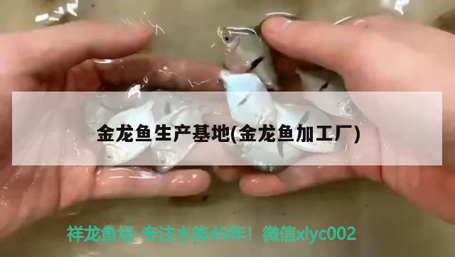 某深4號屁用沒得 海象魚 第3張