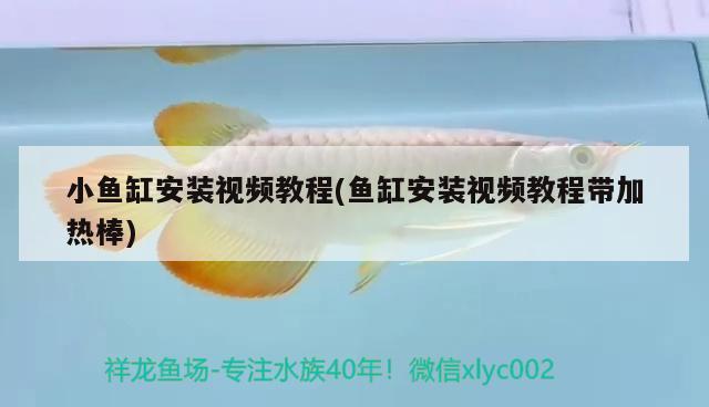 小魚缸安裝視頻教程(魚缸安裝視頻教程帶加熱棒)