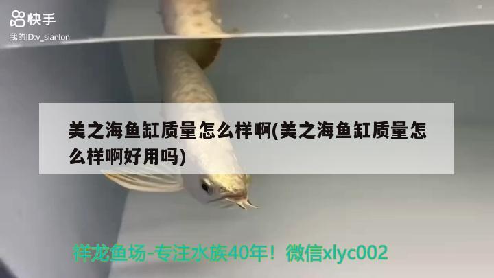 美之海魚缸質(zhì)量怎么樣啊(美之海魚缸質(zhì)量怎么樣啊好用嗎) 白子黃化銀龍魚