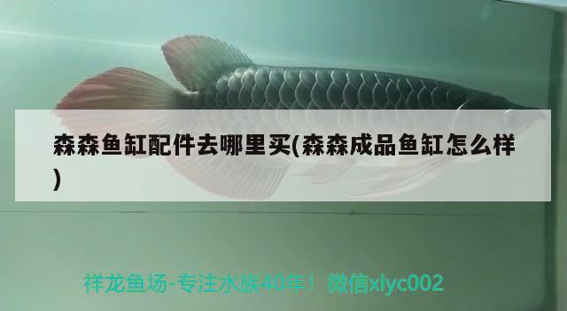 森森魚缸配件去哪里買(森森成品魚缸怎么樣) 月光鴨嘴魚