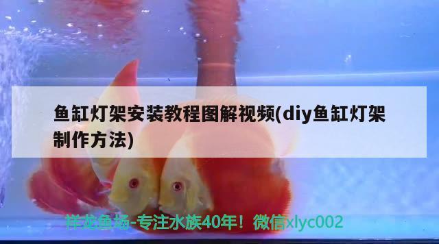 魚缸燈架安裝教程圖解視頻(diy魚缸燈架制作方法) 祥龍水族濾材/器材 第3張