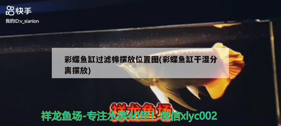 彩蝶魚(yú)缸過(guò)濾棉擺放位置圖(彩蝶魚(yú)缸干濕分離擺放)