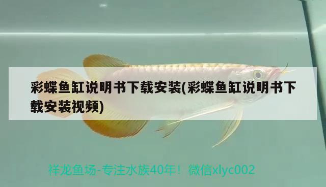 彩蝶魚缸說明書下載安裝(彩蝶魚缸說明書下載安裝視頻) 蘇虎