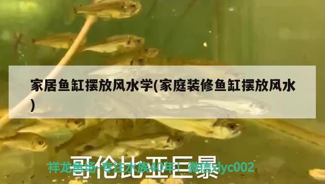 家居魚缸擺放風水學(家庭裝修魚缸擺放風水)