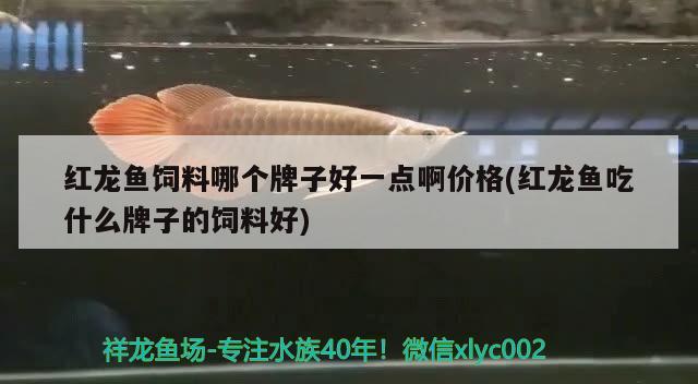 紅龍魚(yú)飼料哪個(gè)牌子好一點(diǎn)啊價(jià)格(紅龍魚(yú)吃什么牌子的飼料好)