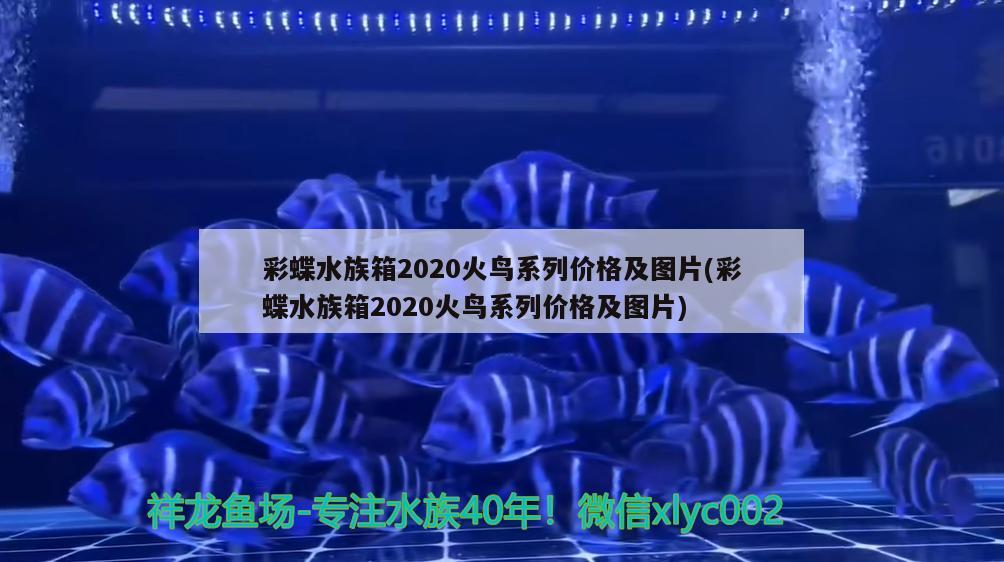 彩蝶水族箱2020火鳥系列價格及圖片(彩蝶水族箱2020火鳥系列價格及圖片) 魚缸/水族箱