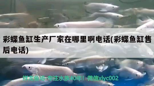 西安哪里有賣魚缸的實(shí)體店鋪啊 西安哪里有賣魚缸的實(shí)體店鋪啊電話 龍魚芯片掃碼器 第2張