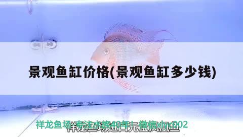 北京二手大型魚缸哪里有賣的，北京哪有比較大型的花鳥魚蟲市場