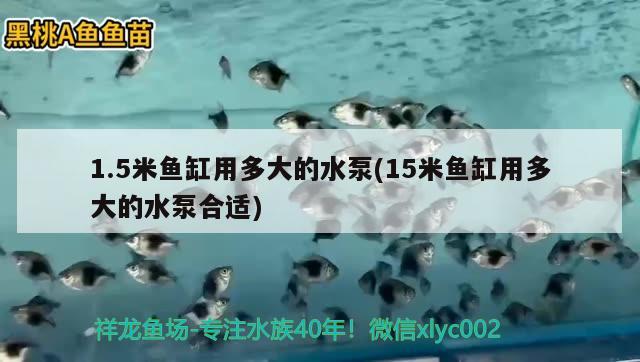 1.5米魚缸用多大的水泵(15米魚缸用多大的水泵合適)