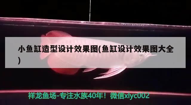 遂寧魚缸批發(fā)市場在哪里啊電話號碼（殺菌礦物鹽是有什么用途） 紅白錦鯉魚 第1張