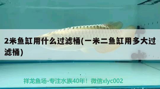 2米魚缸用什么過濾桶(一米二魚缸用多大過濾桶) 肥料