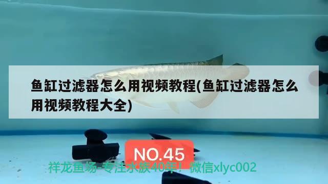 魚缸過濾器怎么用視頻教程(魚缸過濾器怎么用視頻教程大全) 帝王血鉆魚