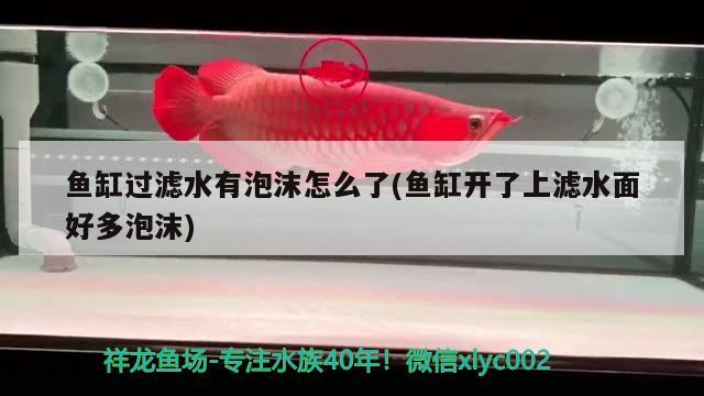 魚缸過濾水有泡沫怎么了(魚缸開了上濾水面好多泡沫) 白子銀龍魚苗