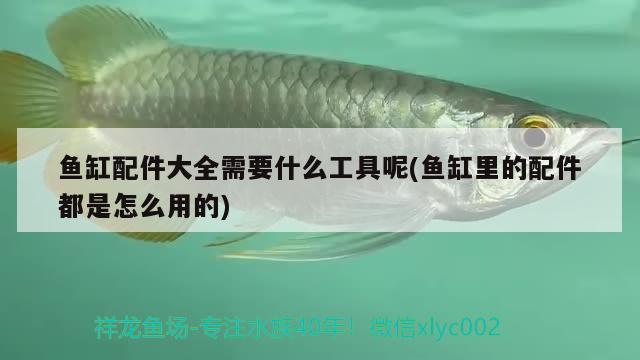 魚缸實(shí)木底柜做法視頻：魚缸實(shí)木底柜做法視頻教程 廣州水族批發(fā)市場 第1張