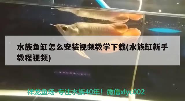 水族魚缸怎么安裝視頻教學(xué)下載(水族缸新手教程視頻)