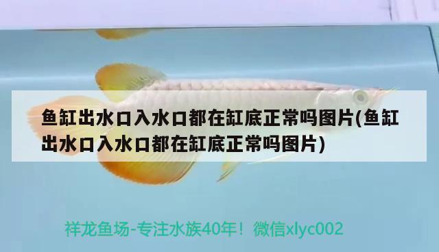 魚缸出水口入水口都在缸底正常嗎圖片(魚缸出水口入水口都在缸底正常嗎圖片)