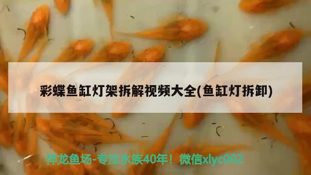 彩蝶魚缸燈架拆解視頻大全(魚缸燈拆卸)