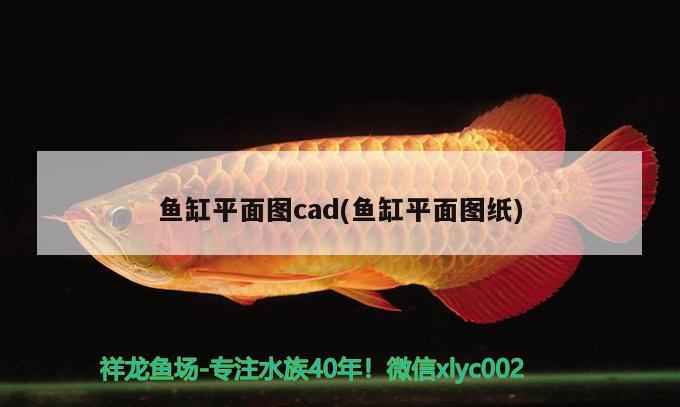 魚(yú)缸平面圖cad(魚(yú)缸平面圖紙) 養(yǎng)魚(yú)的好處