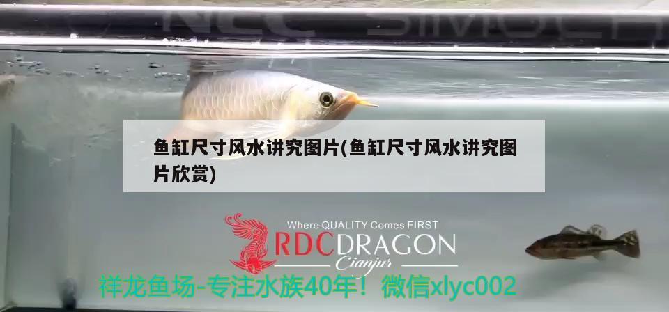 第二天尚安全 金龍魚糧 第3張