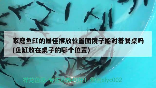 家庭魚缸的最佳擺放位置圖鏡子能對著餐桌嗎(魚缸放在桌子的哪個位置)