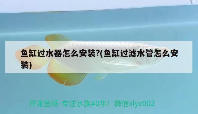 魚缸過水器怎么安裝?(魚缸過濾水管怎么安裝)