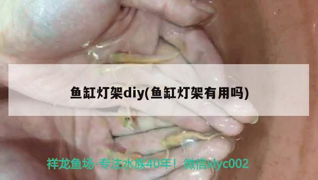 魚缸燈架diy(魚缸燈架有用嗎)