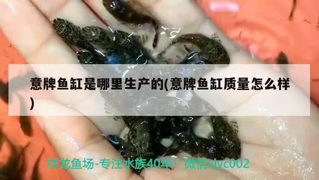 意牌魚缸是哪里生產(chǎn)的(意牌魚缸質(zhì)量怎么樣)